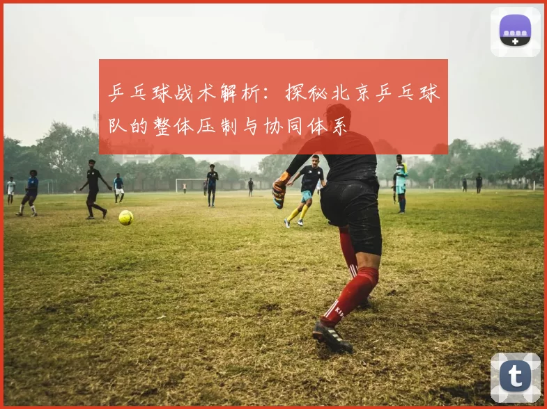 乒乓球战术解析：探秘北京乒乓球队的整体压制与协同体系