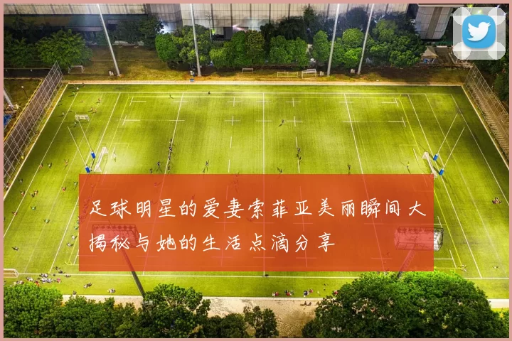 足球明星的爱妻索菲亚美丽瞬间大揭秘与她的生活点滴分享