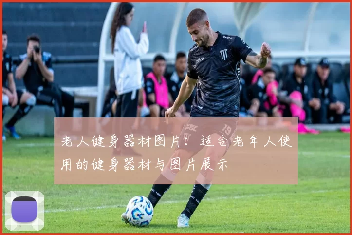 老人健身器材图片：适合老年人使用的健身器材与图片展示