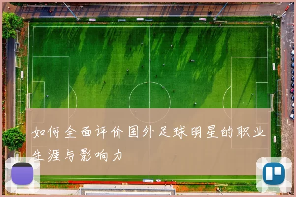 如何全面评价国外足球明星的职业生涯与影响力